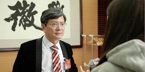 郑强最新爆料视频播放,事件真相与背后故事  第2张