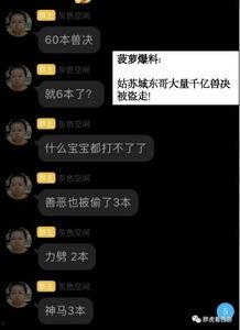 东哥爆料视频素材,幕后真相大曝光  第1张